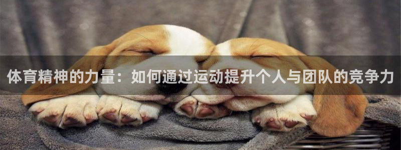 蜘蛛体育育今天火箭与热火比塞直播：体育精神的力量：如何通过运动提升个人与团队的竞争力