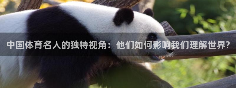 蜘蛛体育NBA直播免费观看：中国体育名人的独特视角：他们如何影响我们理解世界?