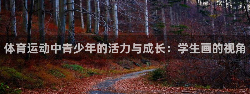 蜘蛛体育免费直播nba糖糖：体育运动中青少年的活力与成长：学生画的视角