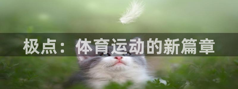 蜘蛛体育糖糖：极点：体育运动的新篇章