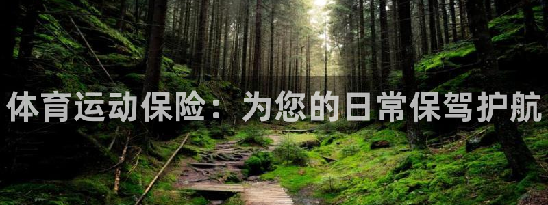 蜘蛛体育免费直播nba糖糖：体育运动保险：为您的日常保驾护航