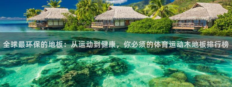 蜘蛛体育nba直播入口小狐狸：全球最环保的地板：从运动到健康，你必须的体育运动木地板排行榜