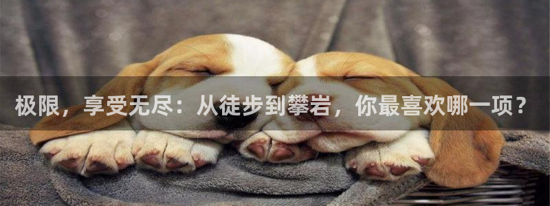蜘蛛体育快船森林狼：极限，享受无尽：从徒步到攀岩，你最喜欢哪一项？