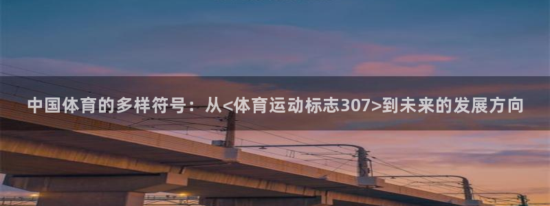 蜘蛛体育可可名场面：中国体育的多样符号：从<体育运动标志307>到未来的发展方向