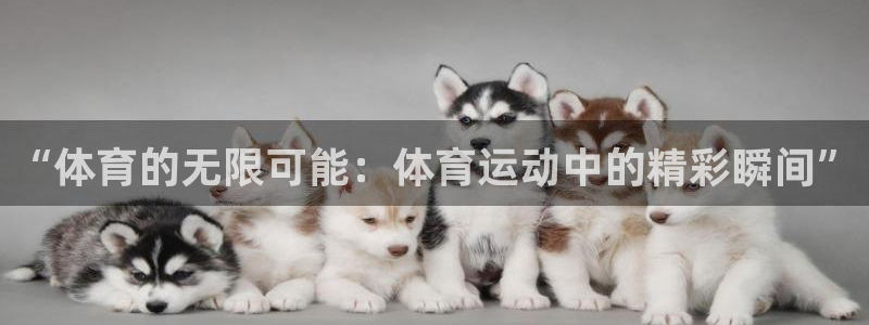 蜘蛛体育直播APP：“体育的无限可能：体育运动中的精彩瞬间”
